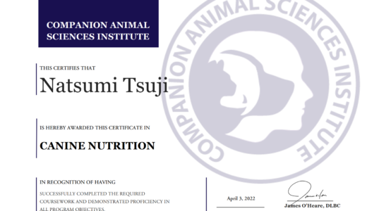 犬の栄養終了証 Canine Nutrition Certificate (Cert.CN)