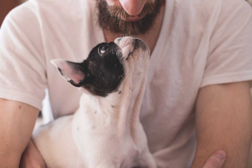 犬の要求