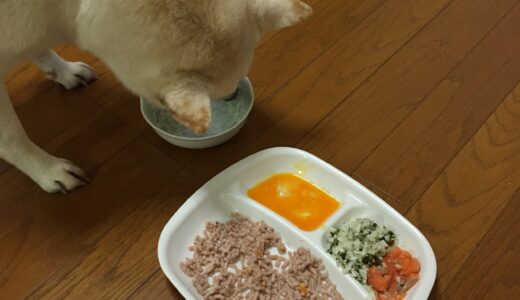 ご感想：多くの食物アレルギーがあり、病気がちだったのが手作り食で改善できた柴犬