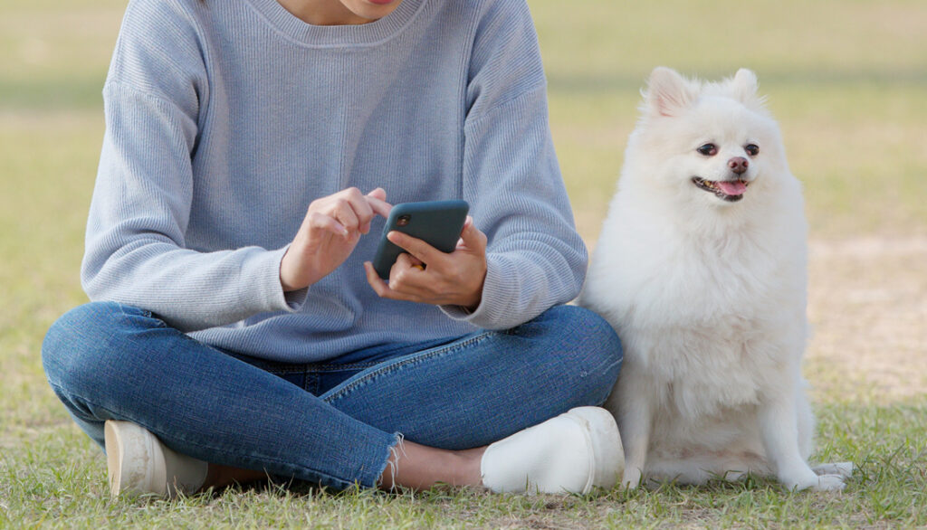 カウンセリング期間中のメール(LINE)でのご質問は何度でも無料です。