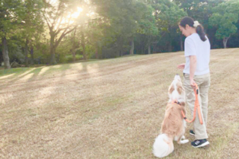 辻 菜津美 Misap Beh ドッグビヘイビアリスト ドッグトレーナー 大阪 堺市 犬の行動心理 犬のしつけ Ohana Relationship